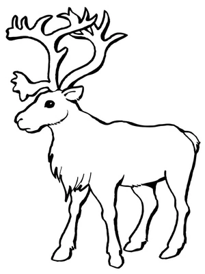 Printable Reindeer Coloring Page Coloring Page