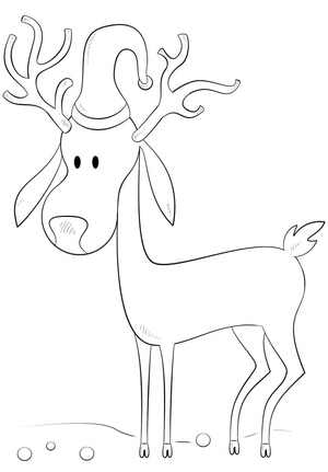 Reindeer