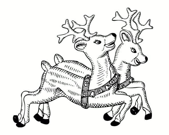 Two Reindeer Coloring Page