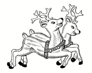 Two Reindeer