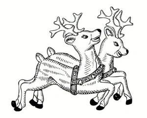 Two Reindeer Coloring Page