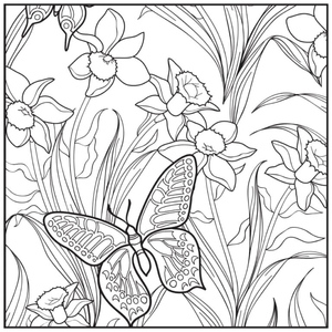 Relaxing Butterfly and Flowers