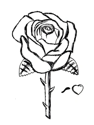 Coloring Page Featuring a Beautiful Rose Bloom Coloring Page
