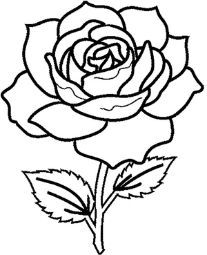 Exquisite Rose Blossom Coloring Page