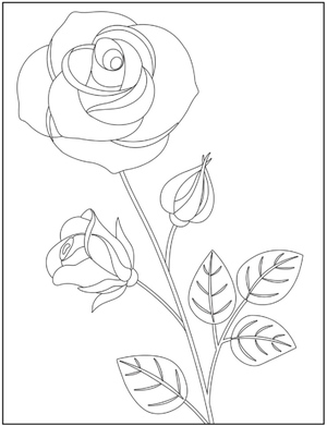 Gorgeous Rose Stem