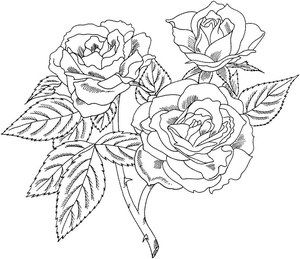 Roses Full of Delight
