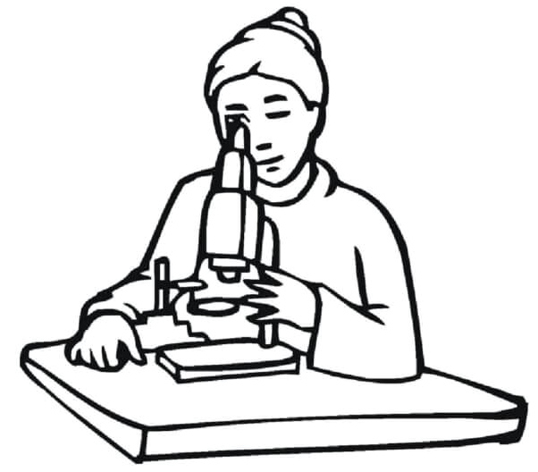 Girl Observes Microscopic Organisms Through a Microscope Coloring Page