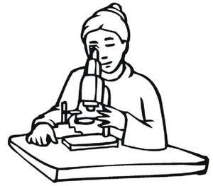 Girl Observes Microscopic Organisms Through a Microscope