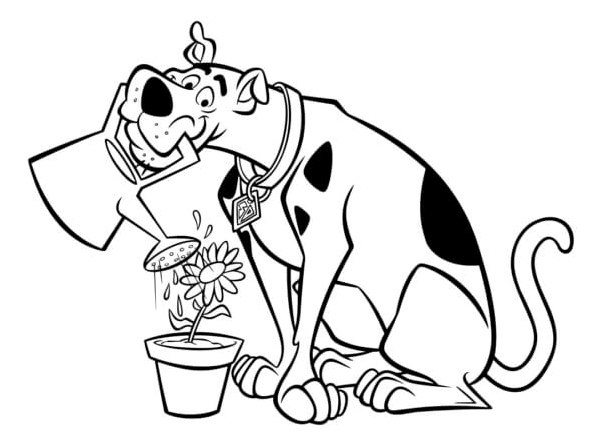 Scooby Doo Watering Flowers - Coloring Page Coloring Page