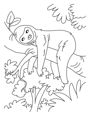 Sleepy Sloth Coloring Page