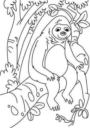 Sloth sitting in a tree Coloring Page