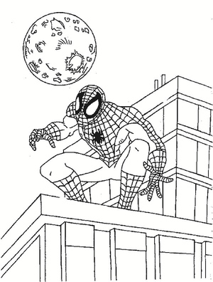 Spider-Man on the Rooftop