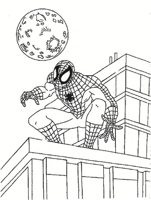 Spider-Man on the Rooftop Coloring Page