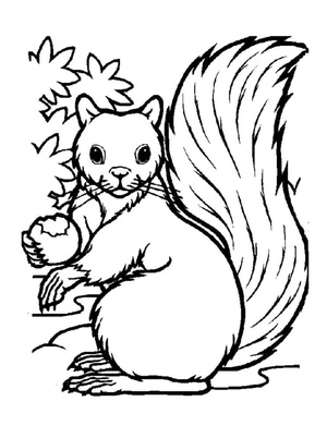 Squirrel with a Nut Coloring Page