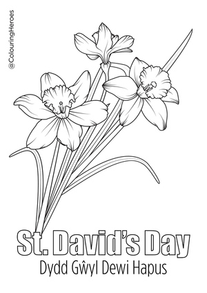 Floral Designs for St. David's Day