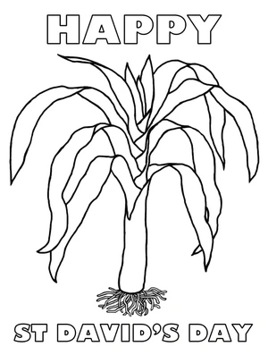 St. David's Day Celebrations Coloring Page