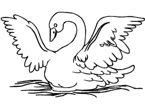 Basic Swan Sketch Coloring Page