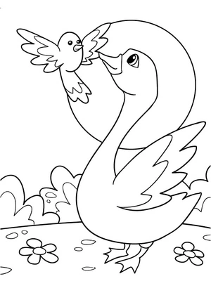 Bird and Swan Coloring Page