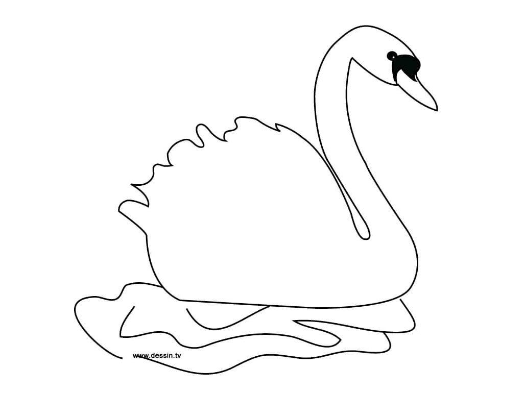 Free Swan Idea Coloring Page