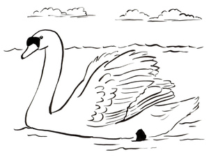 Great Swan