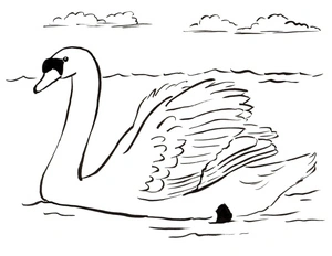 Great Swan Coloring Page