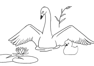 Swan Mother and Baby Coloring Page