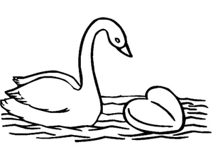 Swan with Heart Coloring Page Coloring Page
