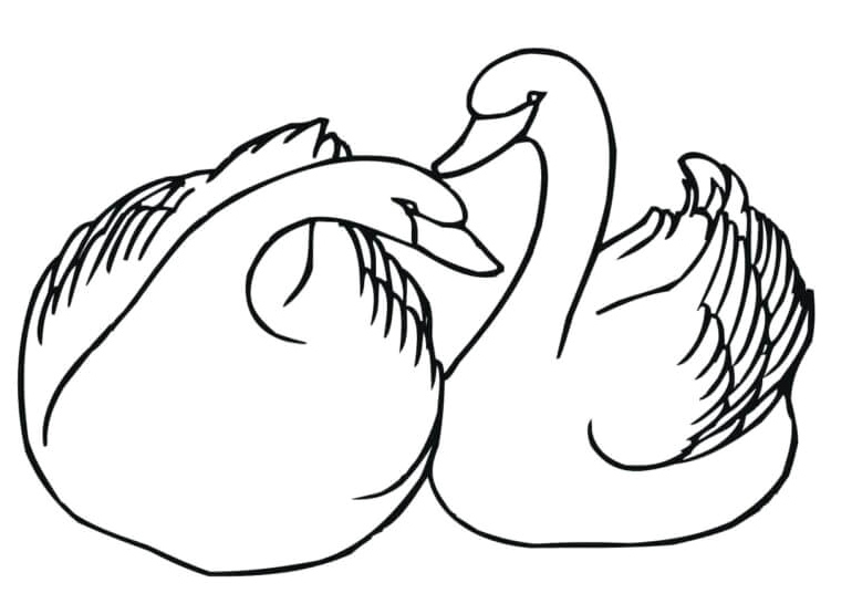 Two Wild Swans Coloring Page