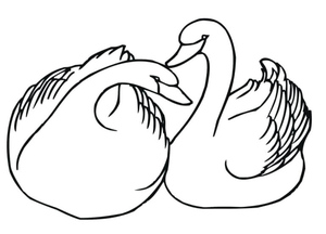 Two Wild Swans