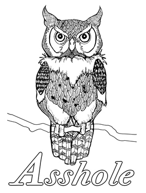 Owl and Inspirational Quote