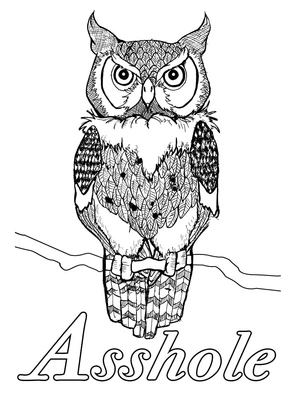 Owl and Inspirational Quote Coloring Page