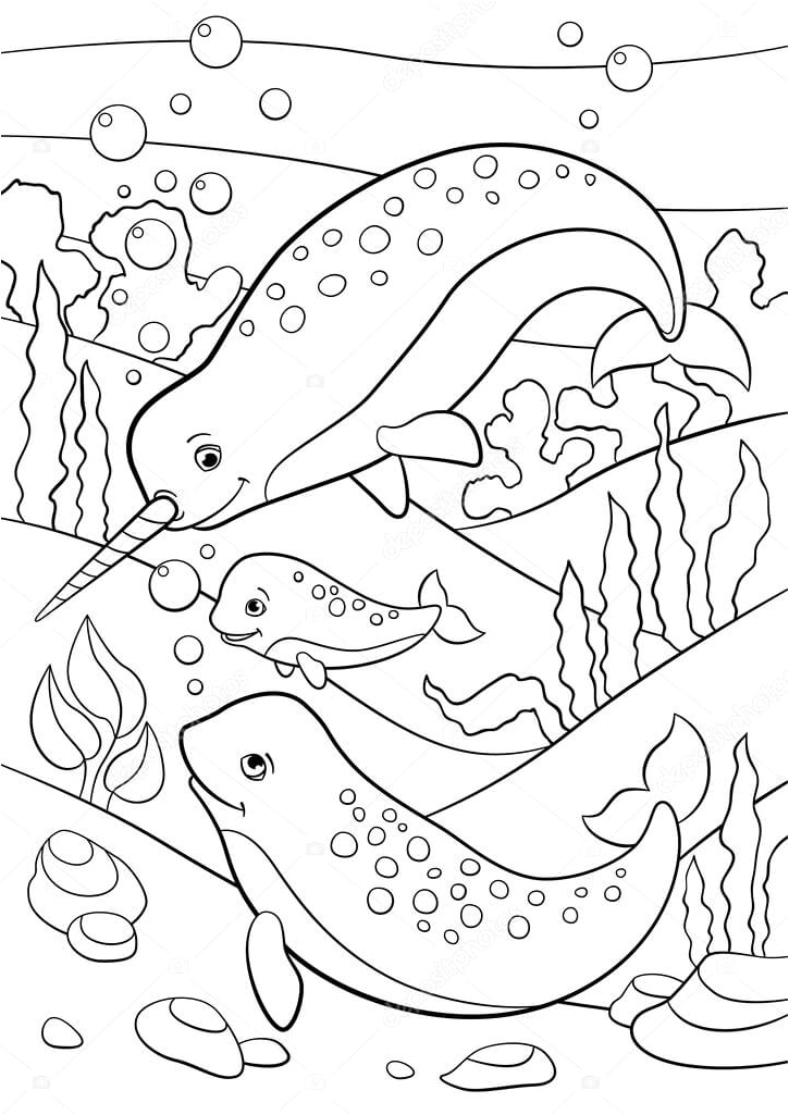Narwhal Family Swimming Coloring Page