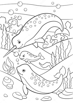Narwhal Family Swimming