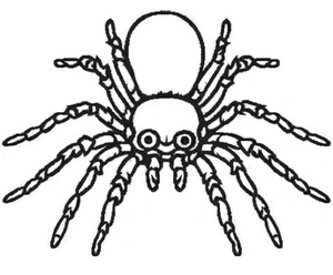 Image of a Tarantula Coloring Page