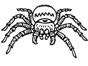 Typical Tarantula Coloring Page