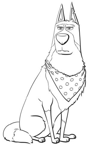 The Secret Life Of Pets