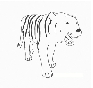 Basic Tiger