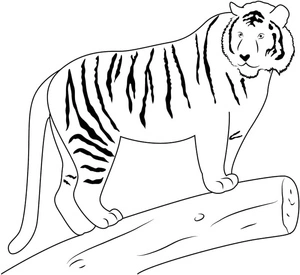 Free Tiger Coloring Page for Kids Coloring Page