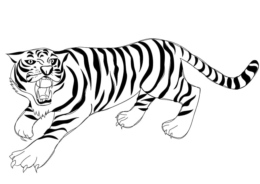 Printable Roaring Tiger Coloring Page Coloring Page