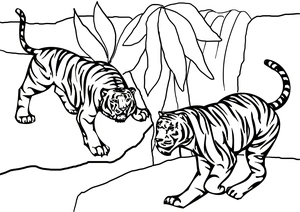 Tiger - a ferocious feline! Coloring Page