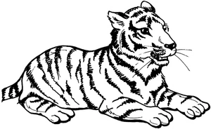 Tiger Coloring Page Coloring Page