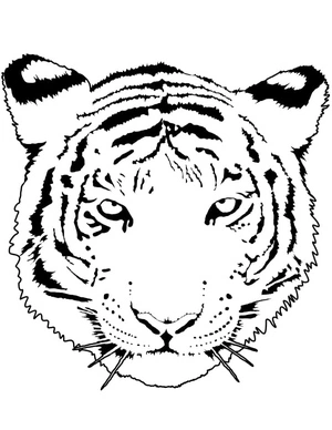 Tiger Head Coloring Page