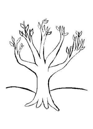 Blossoms Blooming on the Tree Coloring Page