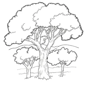 "Large Tree and Two Small Trees" Coloring Page