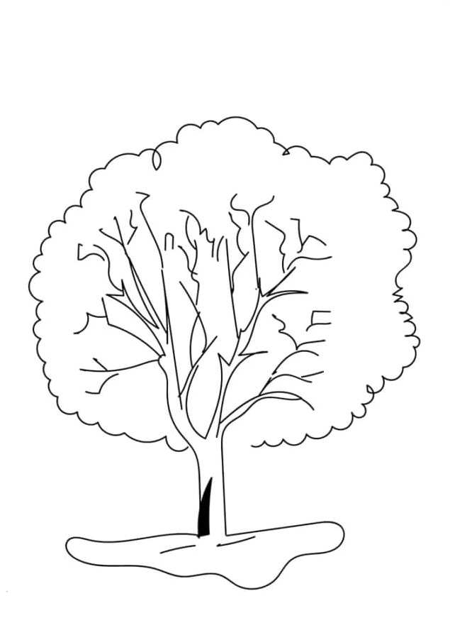 Large Tree Coloring Page