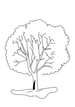 Large Tree Coloring Page