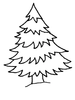 Pine Tree Coloring Page