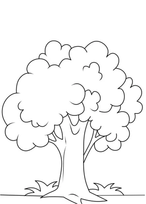 Simple Tree Coloring Page