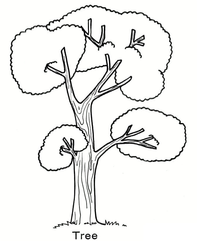 The Leaves Spread by the Tree Coloring Page