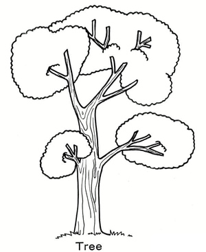 The Leaves Spread by the Tree